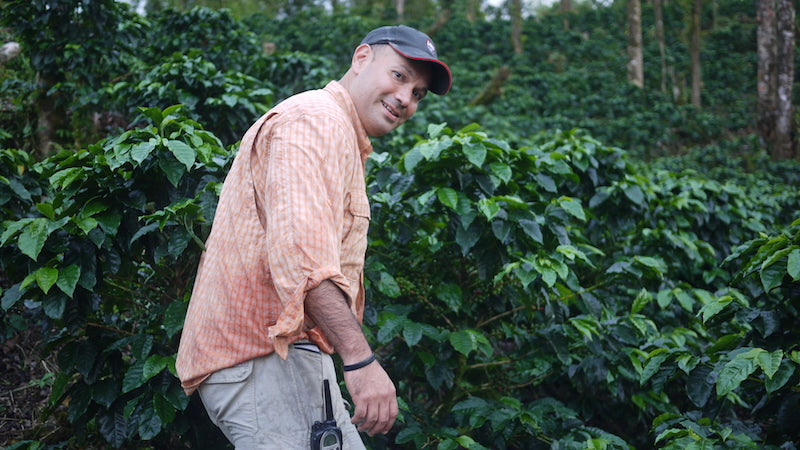 Nicaragua - Finca San Jose de las Nubes - Salvaje